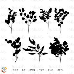 eucalyptus svg, eucalyptus silhouette, eucalyptus cricut, eucalyptus stencil templates, eucalyptus clipart png