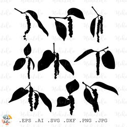 black pepper svg, black pepper silhouette, black pepper cricut, black pepper stencil templates, black pepper clipart png