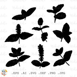 mint leaves svg, mint leaves silhouette, mint leaves cricut, mint leaves stencil templates, mint leaves clipart png
