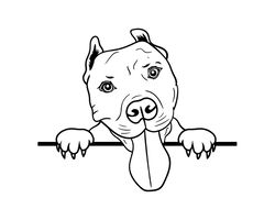 pitbull svg, american pit bull svg, pitbull clipart, pitbull vector, pitbull cricut, dog paw svg, pitbull cut file, dog