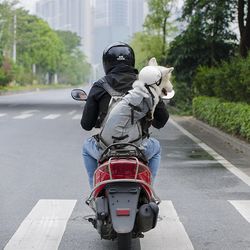 dog backpack sack carrier