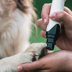 rechargeable professional dog nail grinder