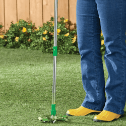 standing plant root remover