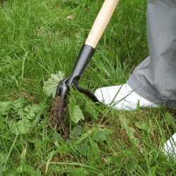 lonbor weed puller tool