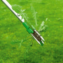 standing weed removal tool