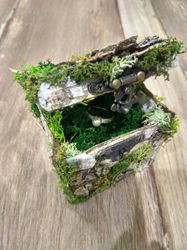 fairy ring box is made of birch bark and stabilized moss moss gift wedding box jewelry box