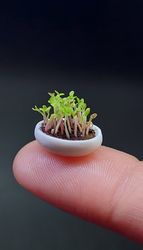 miniature greenery in a white pot 1:12, micro-greenery dollhouse, miniature seedlings in a pot, dollhouse plants, miniature plants