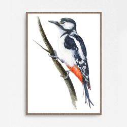 watercolor poster "woodpecker"