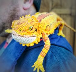 realistic orange bearded dragon agama. figurine amigurumi lizard. abayomi crochet agama. toy animal reptile shelf decor