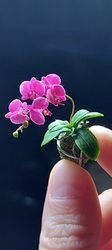 miniature orchid dollhouse 1:12, cocedama fuchsia orchid, orchid in a ball, dollhouse plants, dollhouse flowers