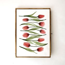 watercolor print tulips, transparent plants illustration