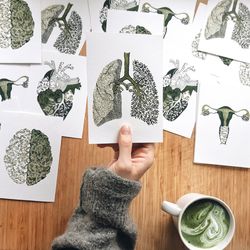 postcards botanical anatomy, set of 4 watercolor postcards