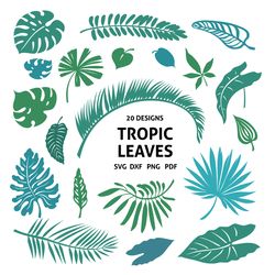 tropical leaves svg bundle, cut files