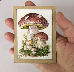 aceo original art mushroom small art botanical mini card 3,5x2.5 inches