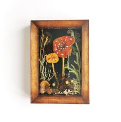 resin mushroom art amanita muscaria pressed mushrooms frame mushroom decor preserved mushroom