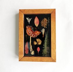 amanita resin mushroom decor pressed mushrooms frame  preserved mushroom