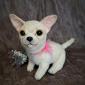 realistic toy. chihuahua.  realistic plush toy . stuffed dog . art doll animal . . made to order