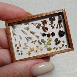 dollhouse curiosity cabinet 1:12 miniature collection, shadow box