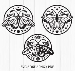 celestial butterfly svg cut files bundle