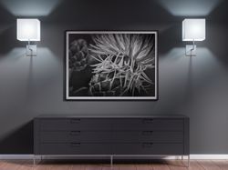 flower photography, printable digital download, floral wall art, wall decoration, black & white art, living room print