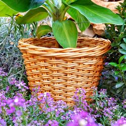 Wicker Pot Wicker Round Basket Wicker Flower Planter