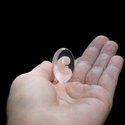 embryo 7 weeks in oval lens, 7 weeks pregnant, sculpture cast in resin.