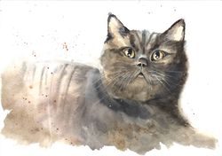 cat painting animal original artwork watercolor pet portrait 8" by 12" by artmadeira