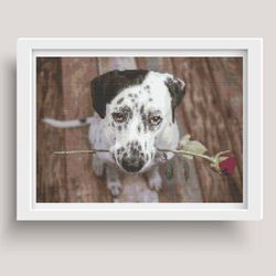 cross stitch pattern, pdf, dalmatian with a rose