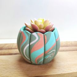 succulent and cactus pot with drainage | cactus pot | planter with drainage | cache pot with saucer