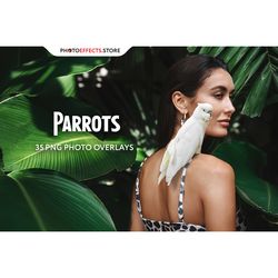 35 parrots photo overlays