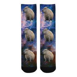 capybara socks, capybara in space socks - space socks - galaxy socks