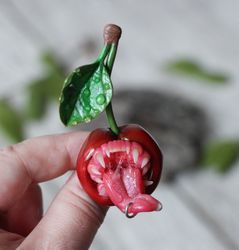 cherry brooch, creepy jewelry, witchcraft jewelry