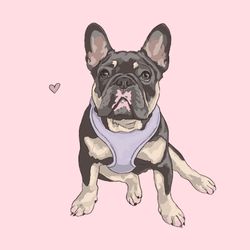 custom digital dog portraits from photo -  lovely style -  pet painting