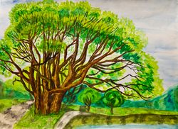 summer landscape willow tree, watercolor painting