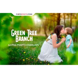 42 green tree branch photo overlays