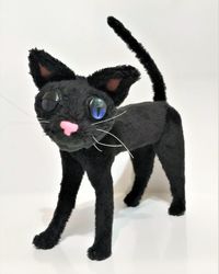 coraline cat