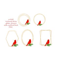 gold shiny glitter frames with cardinal bird png clipart