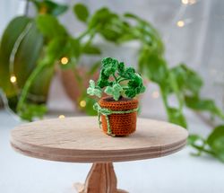 miniature clover in a pot, st patricks day decorations, tiny crochet flower, four leaf clover, fairy garden plants