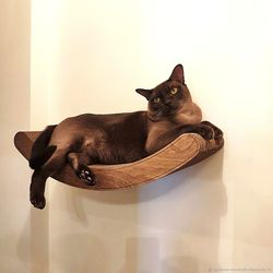 medium cat lounge cat shelf-scratching post cat bed cute cat furniture cat hammock cat tower cat wall bed cat tree