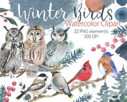 winter birds watercolor clipart, forest bird clipart, digital, png, 300 dpi