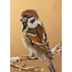 sparrow painting bird original art pastels painting cute painting nature painting sparrow original artwork