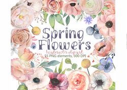 spring flowers watercolor clipart, collection of soft pink flowers, rose, summer flowers clipart, digital, png, dpi 300