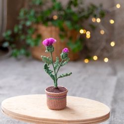 crochet thistle in a pot, scottish thistle flowers, fairy garden miniature, flower present, thank you gift, meaning gift