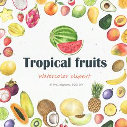 tropical fruits watercolor clipart, exotic fruits watercolor set, collection of tropical fruits, digital, png, 300 dpi