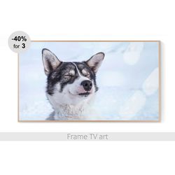 frame tv art digital download 4k, frame tv art dog, frame tv art farmhouse, samsung frame tv art winter | 244