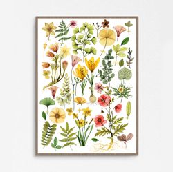 transparent flowers, digital watercolor print