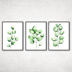 set of 3 botanical prints, nature prints, set of 3 prints, modern abstract art prints, boho prints, eucalyptus print