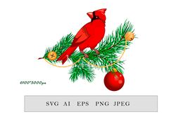 christmas composition with red cardinal