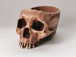 human skull bowl, container, wiccan decor, human skull replica, skull head decor, tabletop decor