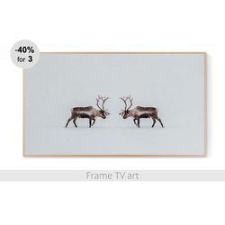 samsung frame tv art digital download 4k, samsung frame tv art deer, frame tv art winter, frame tv art animals | 187